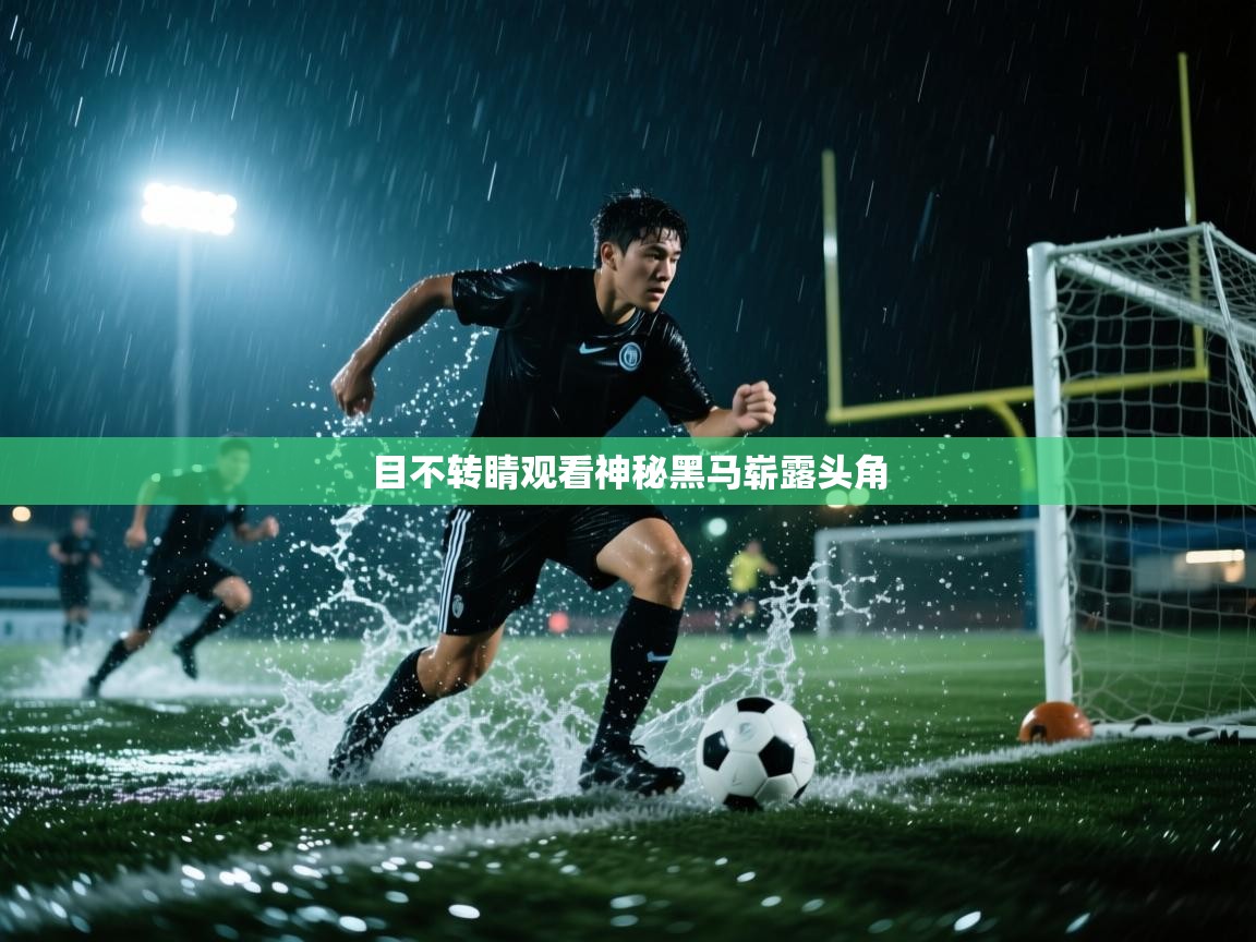 目不转睛观看神秘黑马崭露头角  第1张