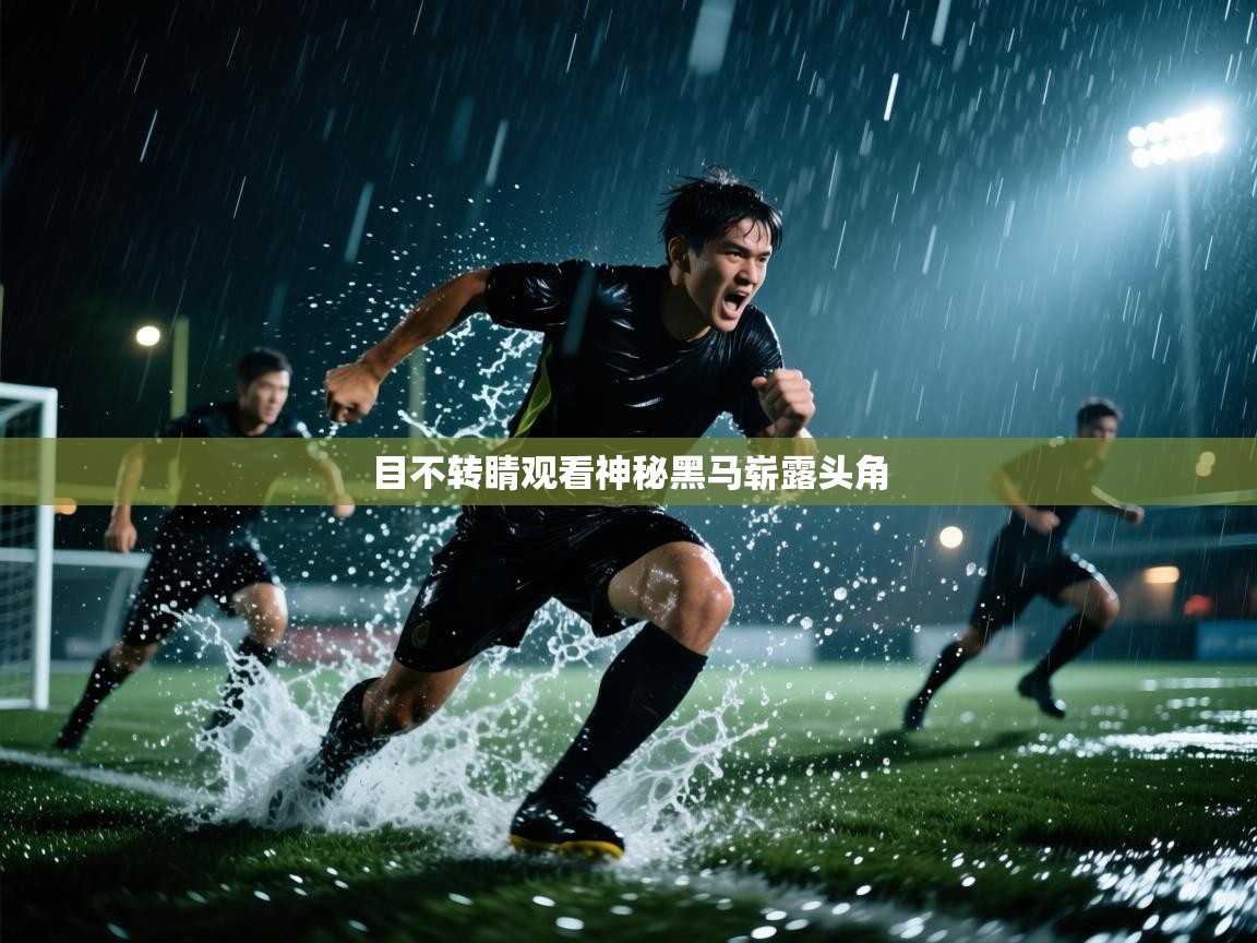 目不转睛观看神秘黑马崭露头角  第2张