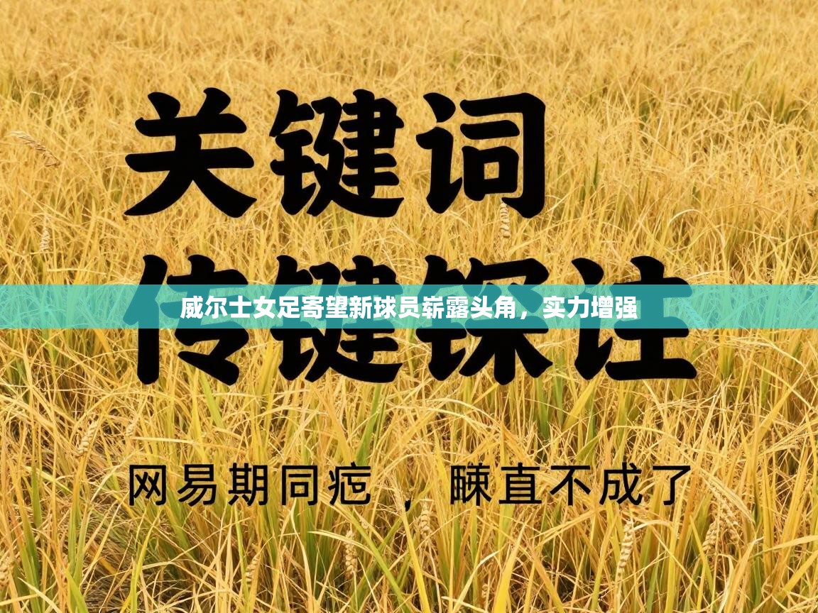 威尔士女足寄望新球员崭露头角，实力增强  第1张